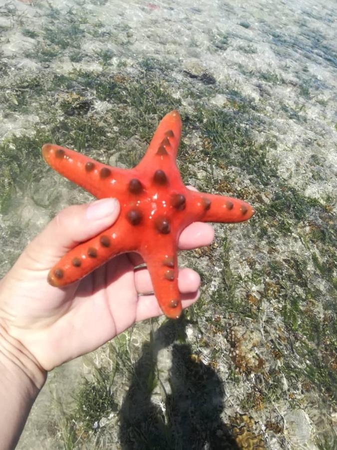 Sea Star Resort Semporna Zewnętrze zdjęcie